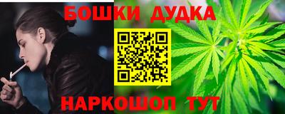 шишки Обь