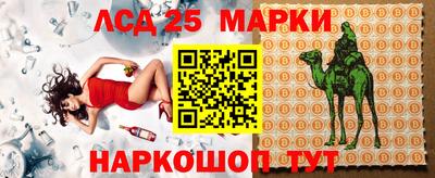 шишки Обь