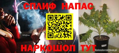шишки Обь