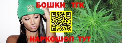 шишки Обь