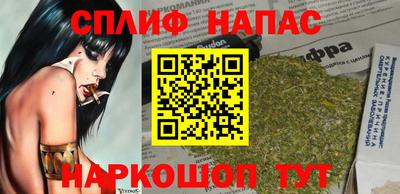 шишки Обь