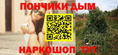 шишки Обь